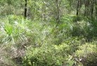 Rocky Creek NSWsustainable-landscaping-21.jpg; ?>
